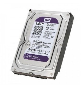 DISCO DURO WESTERN DIGITAL PURPURA 1TB  SATA 6 GB/S, 3.5